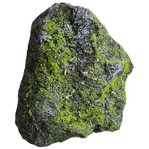 tFCNbN, ̐^AlH, EECeAWp̃KX@ۑf(6.3x11.8x7.8in/16x30x20cm)