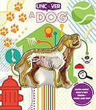  Uncover a Dog