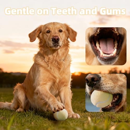 Image of Sunraymascota 6-Pack Tennis Balls for Dogs Fetch Toys,for Beginner Practice