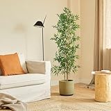 BLAINE Planta Artificial con Productos Naturales, Elaborados con los Mejores Materiales, Ideal para Decoración de hogar, Planta, Árbol Planta Artificial (Bambú Mínimal) (150)
