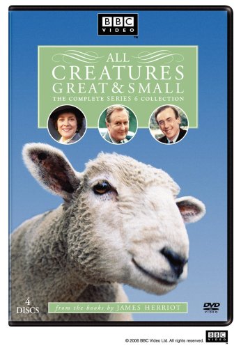 All Creatures Great & Small - The Complete Series 6 Collection image 2