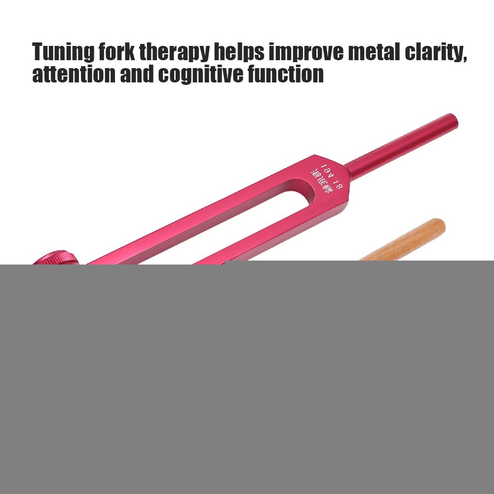 Brrnoo 194.18Hz Diapason pour Examen auditif médical ORL d'otologie avec Marteau en Silicone et Chiffon de Nettoyage, emballé dans Un Sac de Rangement Souple