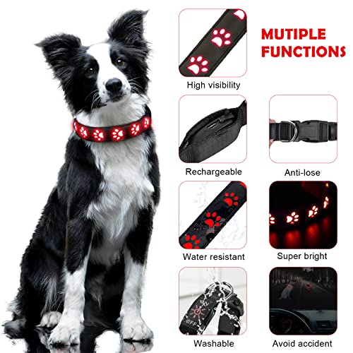 AUAUY Hundehalsband Leuchtend, LED Leuchthalsband Hunde Halsband USB Wiederaufladbar Wasserdichtes für Kleine Mittlere Große Haustier Einstellbar Sicherheit Kragen mit 3 Beleuchtungsmodi (Rot-M)
