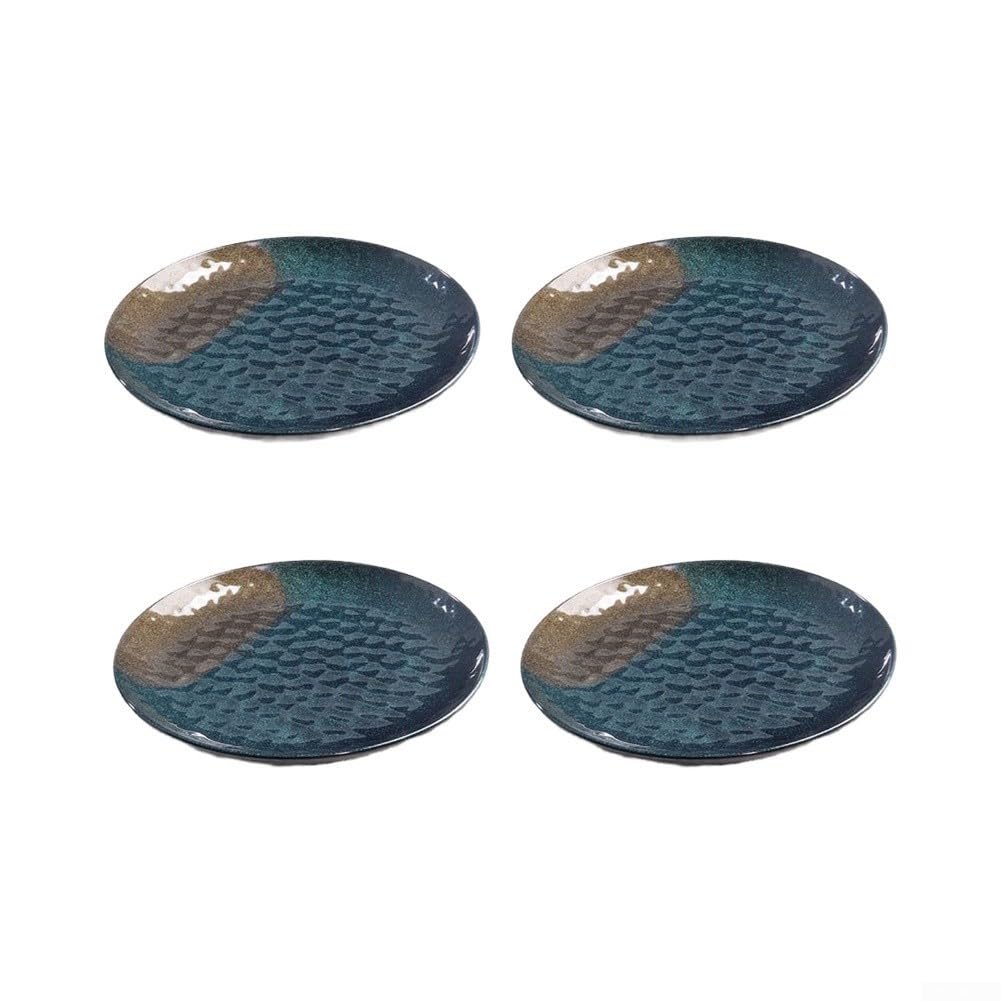 Assiette plate incassable 24 cm pour camping pique-nique (21,6 cm)