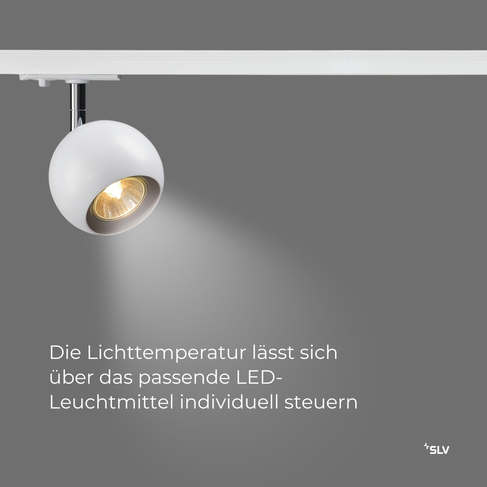 SLV LIGHT EYE, Spot für Hochvolt-Stromschiene 1Phasen