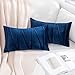 MIULEE Federe per Cuscini 2 Pezzi in Velluto con Strisce Quadrato Resistente e Moderno Decorativo Incrociate Moribido Elegante per Soggiorno Salotto Cameretta Casa 30X50CM Blu Navy