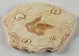Nature-Watch Grallator Dinosaur Footprint Replica