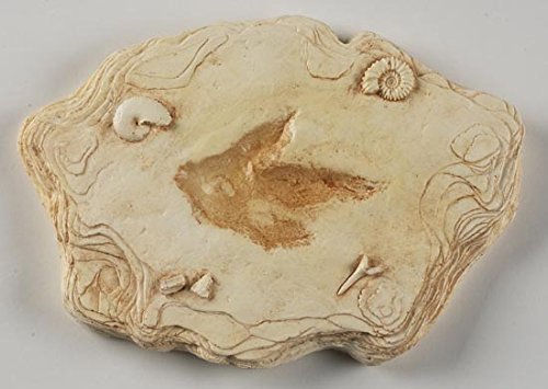 Nature-Watch Grallator Dinosaur Footprint Replica