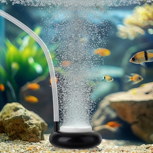 hygger Aquarium Air Stone, Fish Tank Bubbler, Nano Furnace Flue Round Stone Disk, Small Bubbles and High Dissolved Oxygen, with 2 Suction Cups, 1 Adjust Valve, 1 Check Valve (2 Inch)