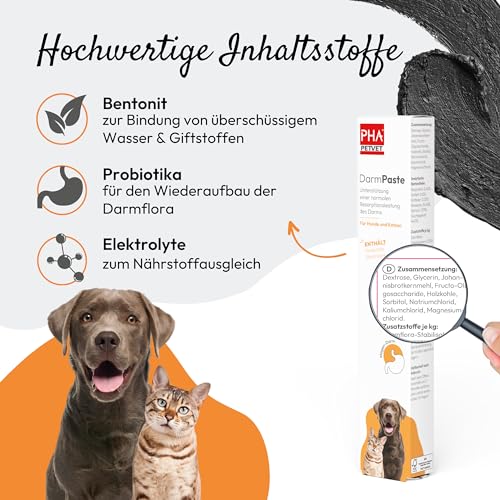 PHA DarmPaste DurchfallStopp für Hunde und Katzen - Linderung akuter Resorptionsstörungen des Darms, bei und nach akutem Durchfall, Paste 15 ml