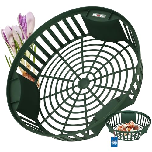 KOTARBAU® Pflanzkörbe für Blumenzwiebeln Zwiebel-Pflanzkorb Blumenzwiebel-Schale Blumenzwiebel-Anzuchtkorb Blumenzwiebelkorb Anzuchtschale Pflanzkorb Pflanzschale ⌀ 265 mm