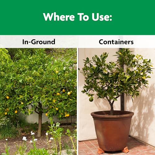 Image of Miracle-Gro Shake 'N Feed Citrus, Avocado, Mango Plant Food - Fertilizer for Container and In-Ground Plants, Citrus, Avocado and Mango Trees, 4.5 lbs. | For Container and In-Ground Plants, Citrus, Avocado and Mango Trees