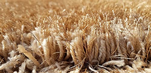 Image of Hand Woven Plain Shagg Collection with 2 Inch Pile Height Carpet for Living Room Size 2x6 Feet Coular Cream Beige