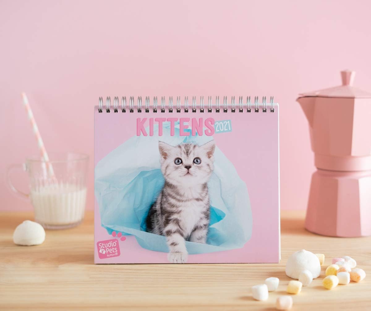 Grupo Erik Erik - Studio Pets Cats 2021 Desk Calendar - Desktop Calendar 2021 CS21012