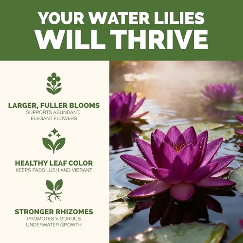 Fertilizante Líquido para Lirios de Agua 32 oz miniatura 2