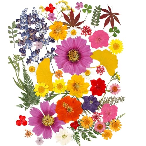 50 Flores secas prensadas para manualidades miniatura 1