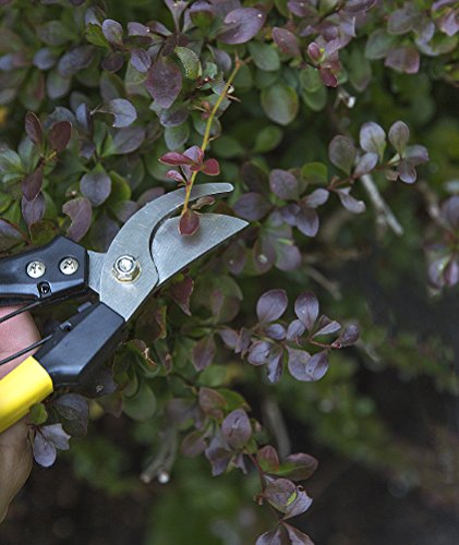 H.B. Smith Tools 3-Piece Pruner Set for Lawn and Garden