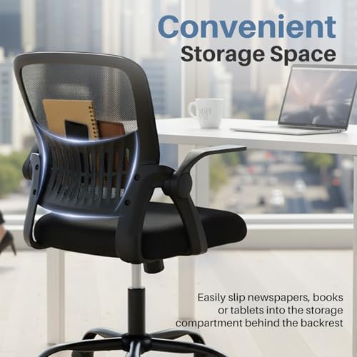 Image of DUMOS Home Office Desk Chair, Computer Lumbar Support Chair