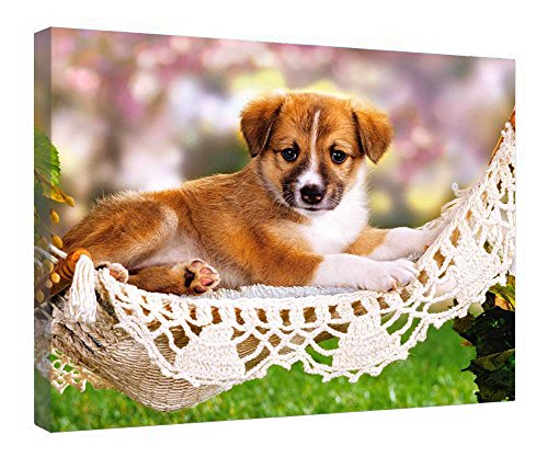 Toile murale hamac dentelle cadre bois haute définition décoration 40x50