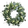 22 Inch Artificial Green Eucalyptus Wreath All Season Wreaths for Front Door with White Berries Spring Summer Fall Winter Decor for Porch Wall Farmhouse