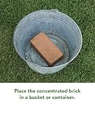 Burpee Organic Coir Compressed Seed Starting Mix, 8 qt Brick, photo 4