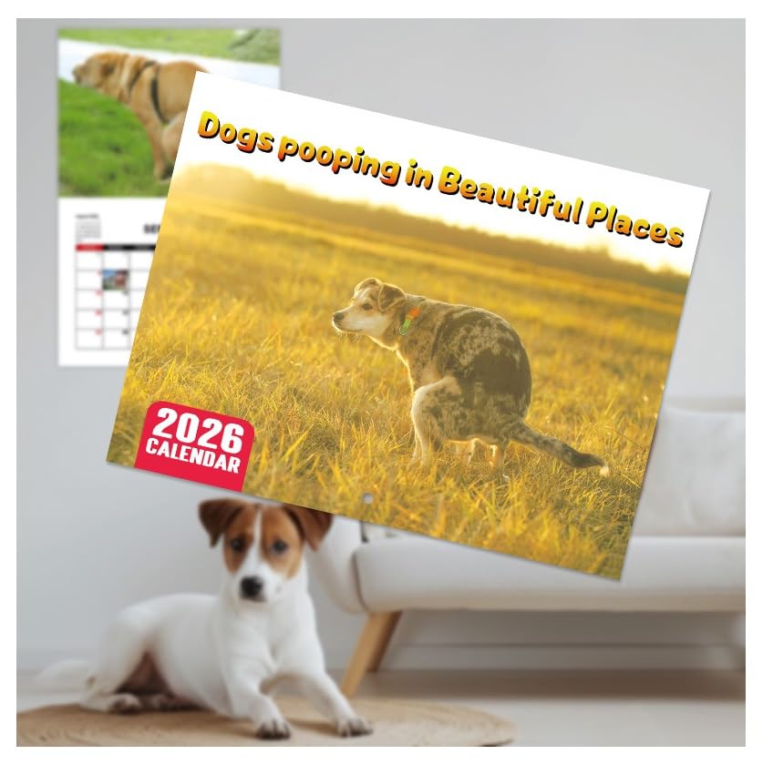 Rachael Hale Honden Kalender 2026 koop je hier online