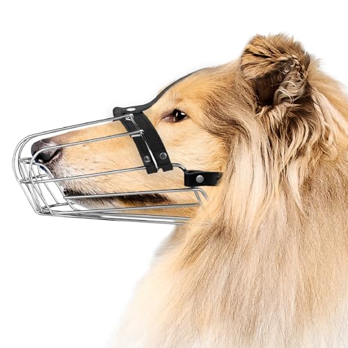 BRONZEDOG Drahtkorb Hund Maulkorb Metall Hund Maulkorb Leder verstellbar (Size 8: Greyhound & Collie)