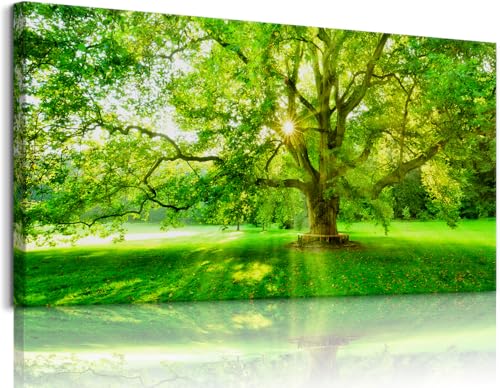 Bamdeya Large Picture Living Room Wall Art Forest Canvas paintings Trees wall decor Green Artwork for Walls Sunset Landscape Wall Art Bedroom Wall Decor Dining Room Home Office Decorations