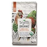 Purina Beyond High Protein Adult Dry Dog Food, Organic Chicken, Egg & Sweet Potato Recipe - 3 lb. Bag
