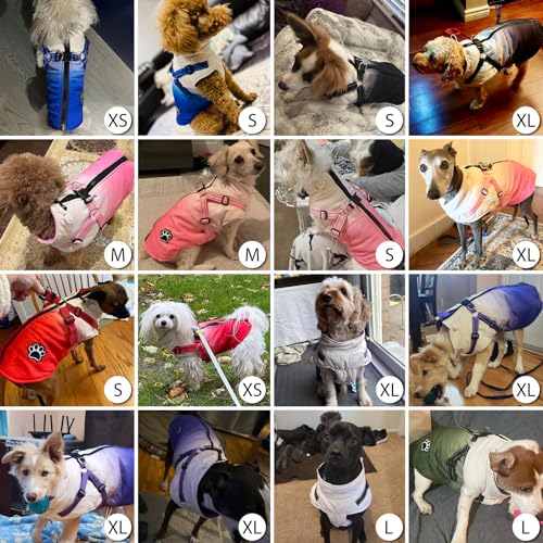 Savlot Hundejacken für den Winter Wasserdichter Hundemantel Winter Warme Jacke Welpen Winter Warme Jacke Kleines Hundejacke Outfit für kleine mittel Hunde(XL, Blau)