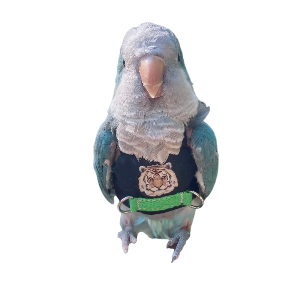 Bird Flight Harness (M, Without Rope)