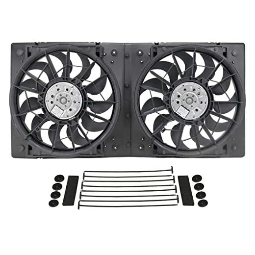 Derale 16928 High Output Dual Radiator Fan,Black