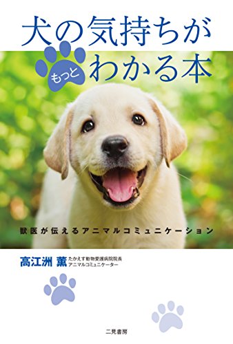 トランポリンが解せぬ柴犬 ニコニコ動画