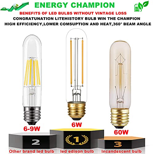 Litehistory Dimmable E26 Led Bulb 4W Equal 40 Watt Light Bulbs Warm White 2700K E26 Edison Bulb Ac120V 400Lm Tubular T9 T10 Led Bulb For Rustic Pendant,Chandeliers,Wall Sconces E26 Light Bulbs 6Pack #TOP3