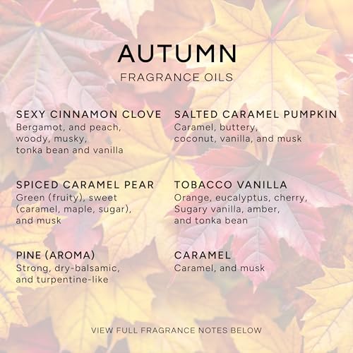 Eternal Essence Oils Autumn Set Of 6 Premium Fragrance Oils - Includes Sexy Cinnamon Clove thumb #1