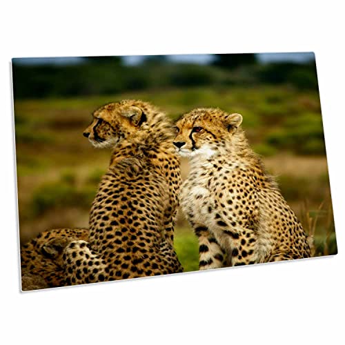 3dRose Pad para Escritorio African Cheetah 23x16 Pulg
