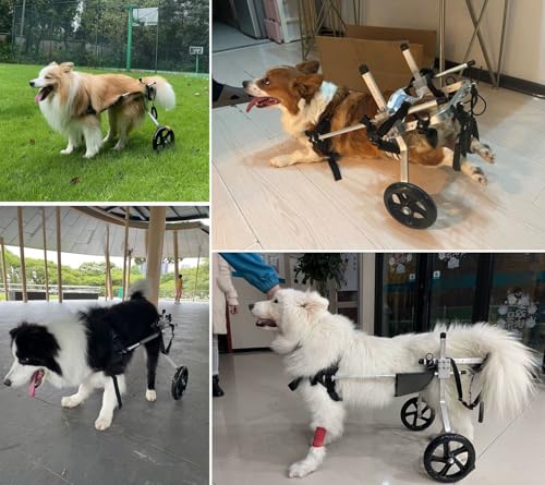 Silla de ruedas para perros con soporte de base para rehabilitar mascotas lesionadas 2