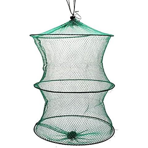 AleXanDer1 Fishing net Glued Fishnet Real Aluminum Fish Trap Live Fishing Collapsible No Mesh Bag Basket Small Tool Carp Cage Fishing (Color : 1pcs) Cover