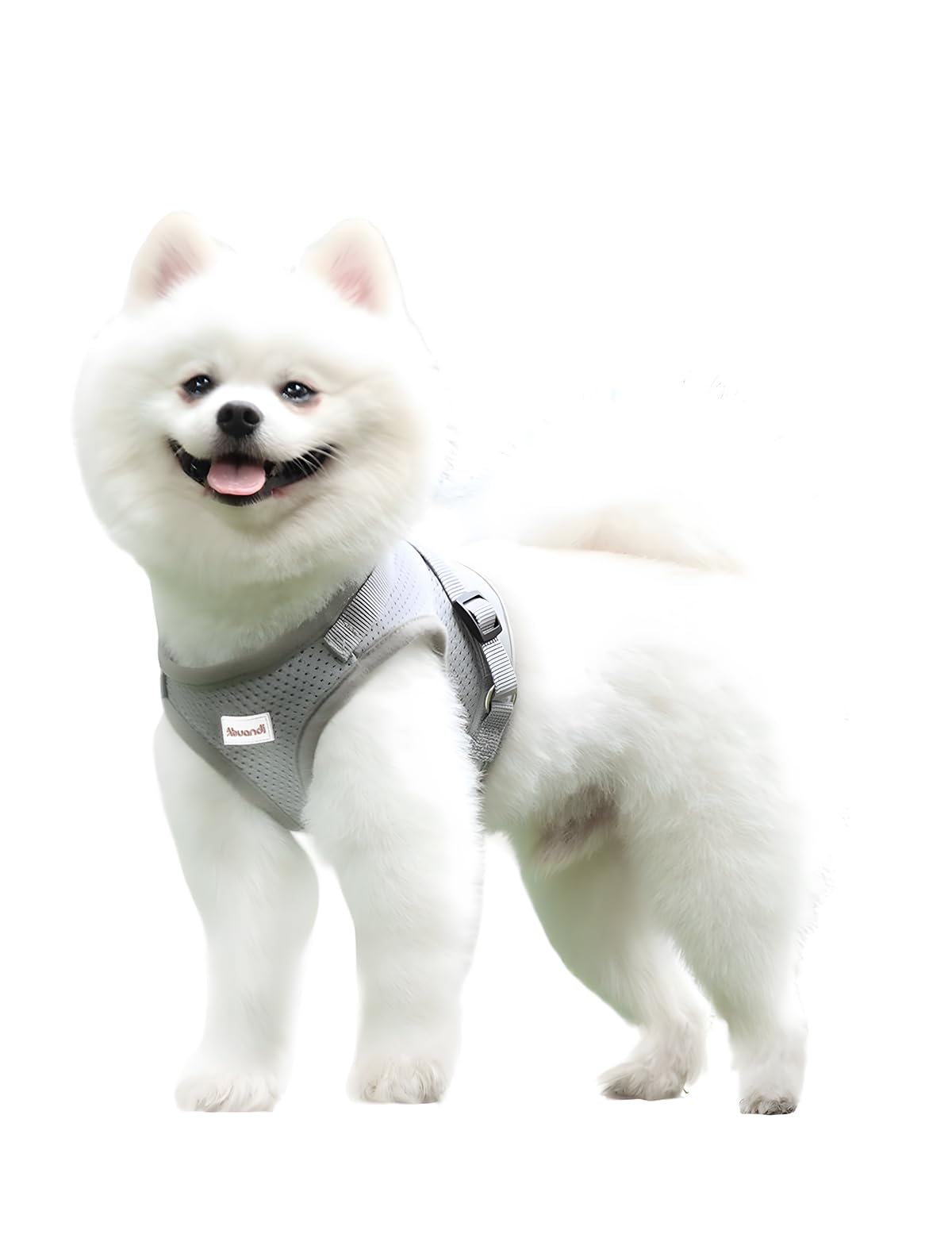 Pettorina per cuccioli con guinzagli per passeggiate, leggera e extra piccola, morbida maglia in rete con strisce riflettenti, sicurezza regolabile, a prova di fuga, facile da passeggiare