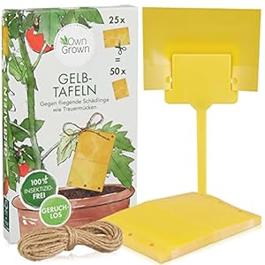 Gelbtafeln Trauermücken: 50x Insektizidfreie Klebefalle für Schädlingsbekämpfung mit Schnur u. Steckern – Mit Gelbsticker Trauermücken bekämpfen – Fliegenfalle Klebefalle Anti Trauermücken OwnGrown