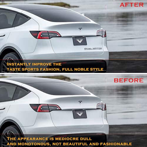 Image of Dual Motor Emblem Badge Sticker Plaid Decor Compatible with Tesla Model 3 Y X S Accessories (Glossy Black-Black Line)