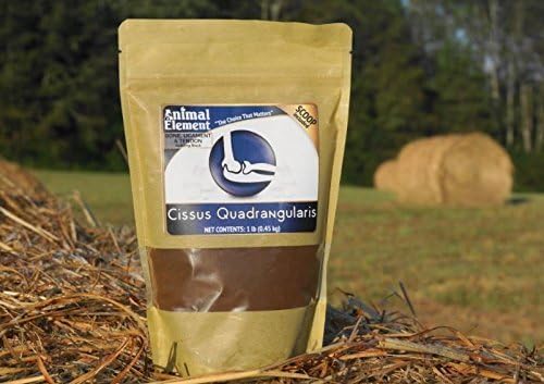 Cissus Quadralangularis 2.5% Ketosterone Extract - 1 Lb. Supports Healthy Joints and Bones, All Natural, GMO Free