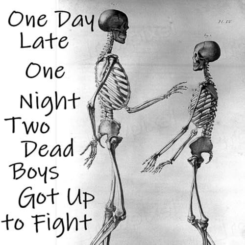 One Day Late at Night, Two Dead Boys Got Up to Fight