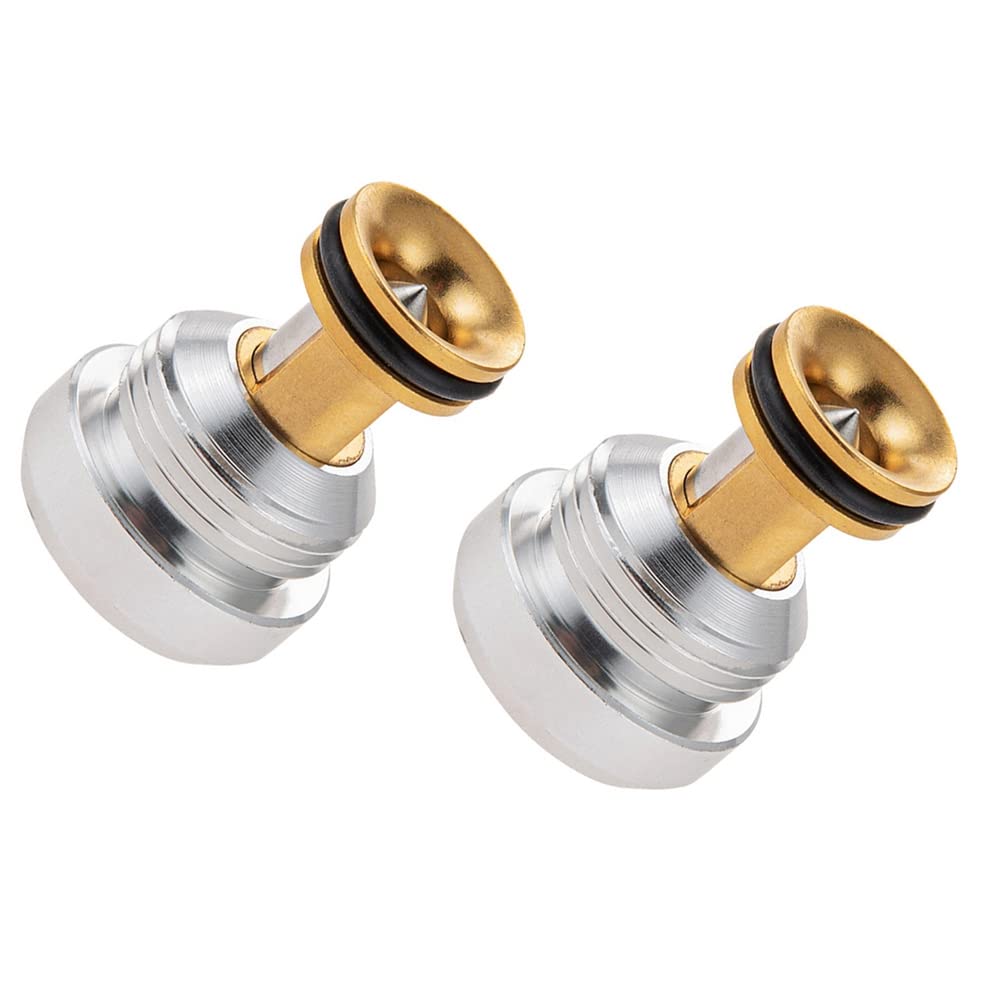 WUNDER 2 Pieces Oil Relief Pressure Valve 059103175F for A4 A5 A6 A8 Q5 for 2.5 TDI AYM AFB AKN 059103175A