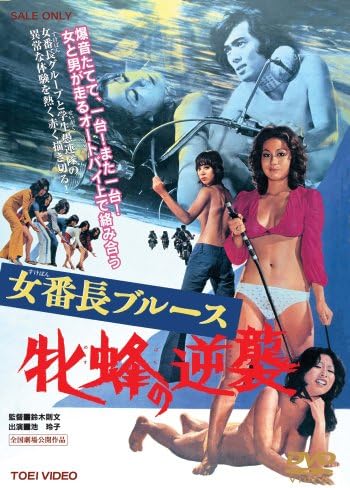 女番長(スケバン)ブルース 牝蜂の逆襲