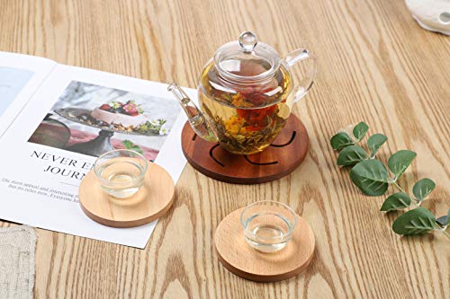 TFTea - Teiera in vetro da 600 ml con filtro nel beccuccio e coperchio in Vetro, per 1 o 2 Persone - immagine 8