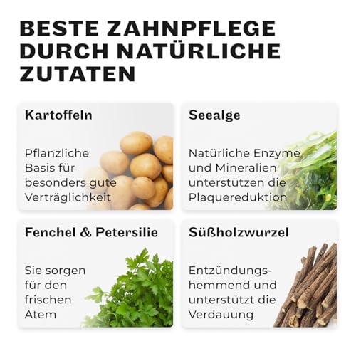 HEY HOLY Dental Sticks für Hunde | 180 g Hundeleckerli zur täglichen Zahnpflege | Schutz für Zähne & Zahnfleisch | 100% natürliche, getreidefreie Inhaltsstoffe