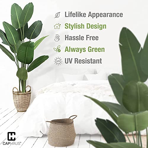 Fencer Wire Artificial Bird Of Paradise Tree, Fake Plant In Pot With Dried Moss, Premium Uv Resistant Lifelike Tropical Home Décor, 6 Feet, 72 Inch Faux Tree With 13 Trunks For Indoor/Outdoor Use #TOP4