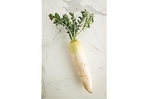 Crisp and Fresh Daikon Radishes for Your Culinary Adventures