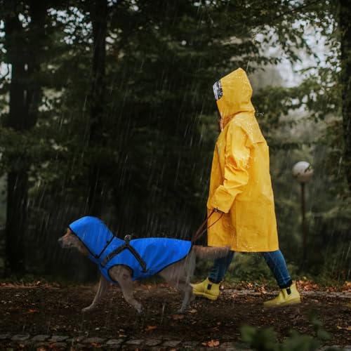 Mosucoirl Dog Raincoat Waterproof Dog Hoodie Reflective Doggie Raincoat Hooded Adjustable Rain Jacket for Small Medium Large Dogs Puppies Doggie Black Red Yellow Green (Blue, M)